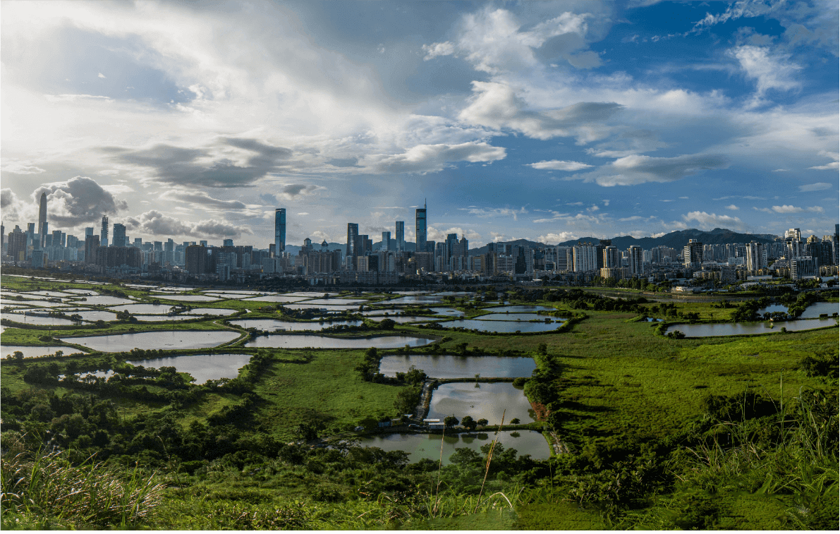 Shenzhen from Hong Kong, 2019